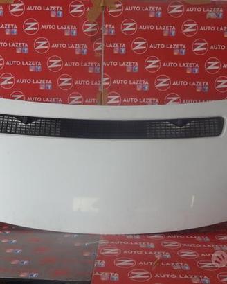 Cofano Anteriore Peugeot Expert (2007-2016) Cod. 1