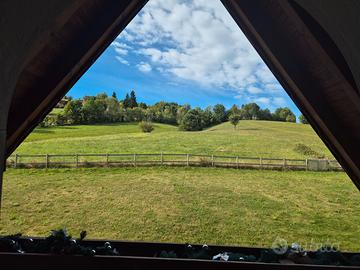 Meravigliose camere ampie e luminose