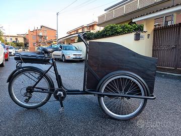 Cargo bike elettrica Trikego