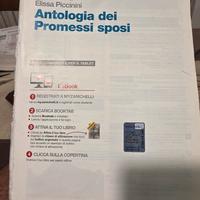 antologia dei promessi sposi