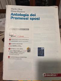 antologia dei promessi sposi