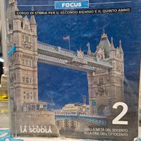 Millennium focus. vol. 2 9788835048268