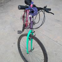 Bici Uomo Ragazzo/Adulto