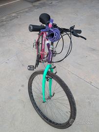 Bici Uomo Ragazzo/Adulto