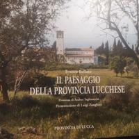 collezionismo grande libro provincia lucchese