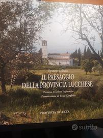 collezionismo grande libro provincia lucchese