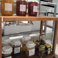 scoby kombucha ,jun,sweet brear