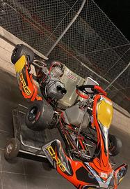 Kart KZ crg