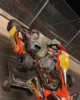 Kart KZ crg