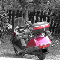 Honda CN 250 - 1993