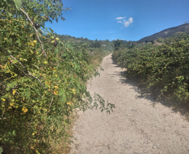 Terreno Vico nel Lazio (FR)