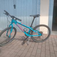 Orbea 24