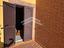 Immagine 23
