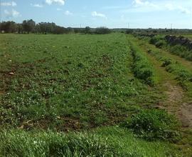 Terreno agricolo