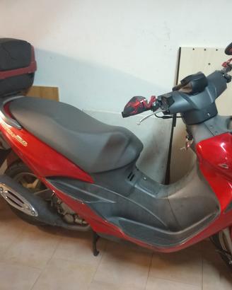   Suzuki Epicuro 150 .