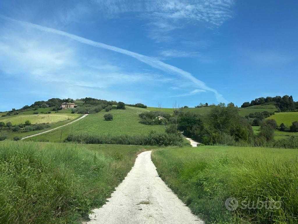 Rustico / Casale di 278 m² a Mondolfo - Vista 3