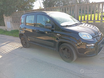 Fiat panda 4x4