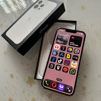 ✨⭐️IPHONE 13 Pro 256gb PERFETTO COME NUOVO ⭐️✨