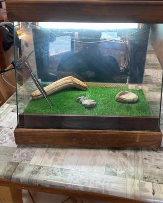 terrario 