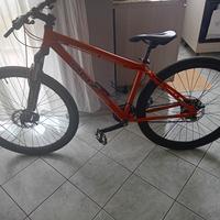 bicicletta per ragazzo 13/14 anni 