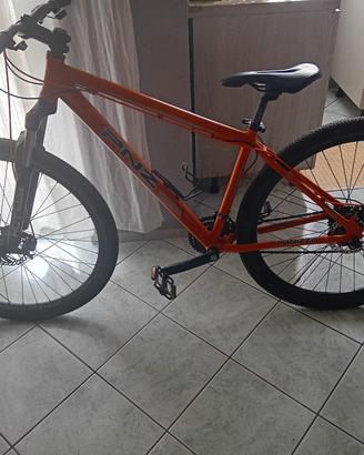 bicicletta per ragazzo 13/14 anni 