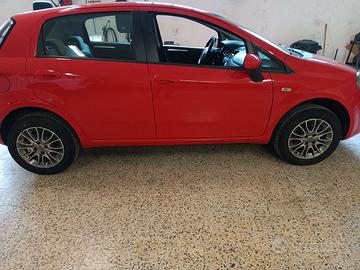 Punto Natural Power