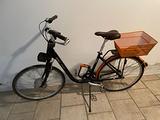 Bicicletta elettrica Askoll eb1