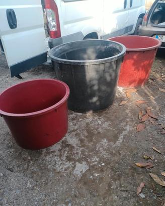 Vasche da vendemmia 