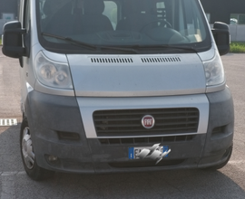 Fiat ducato panorama 9 posti