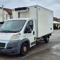 Fiat ducato con cassa frigo