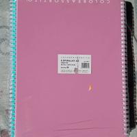 Quaderni con Spirale Formato A4 Righe 1R - Conf.6 