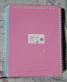 Quaderni con Spirale Formato A4 Righe 1R - Conf.6 