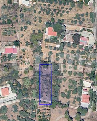 Terreno Agricolo Altavilla Milicia [TerM/7VRG]