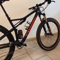 Mtb 29 sworks epic