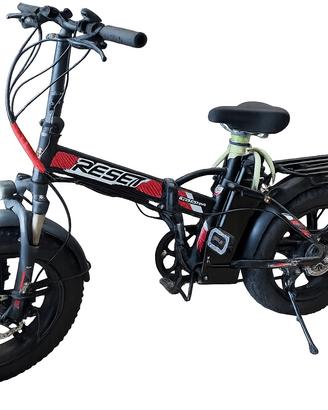 E-bike Fat pieghevole doppia batteria top