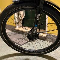 Bicicletta elettrica Bottecchia BE29