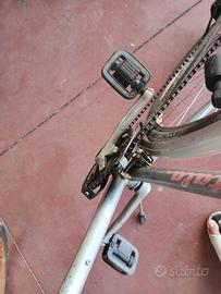 Bicicletta