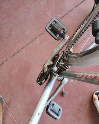 Bicicletta
