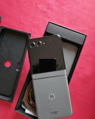 Motorola razr 50