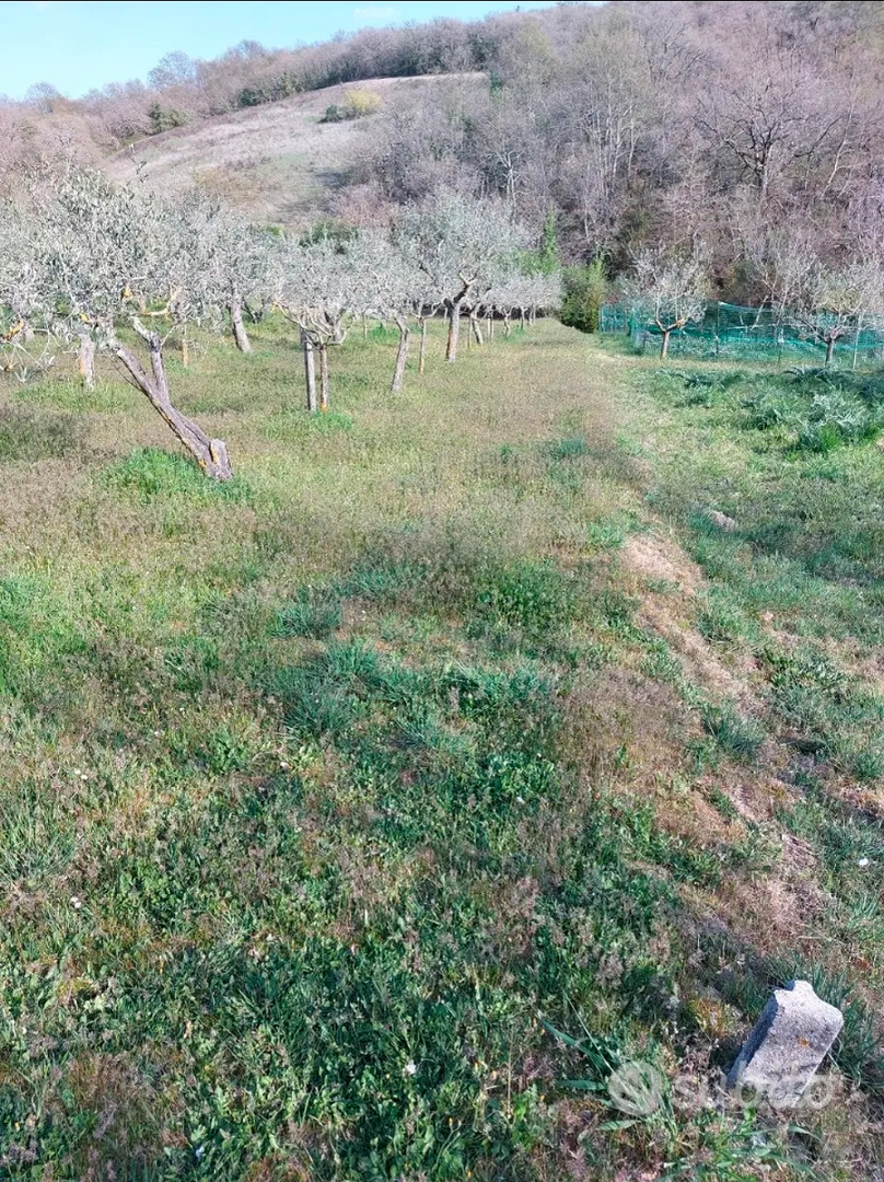 Terreno agricolo a San Quirico d'Orcia in Località - Vista 5