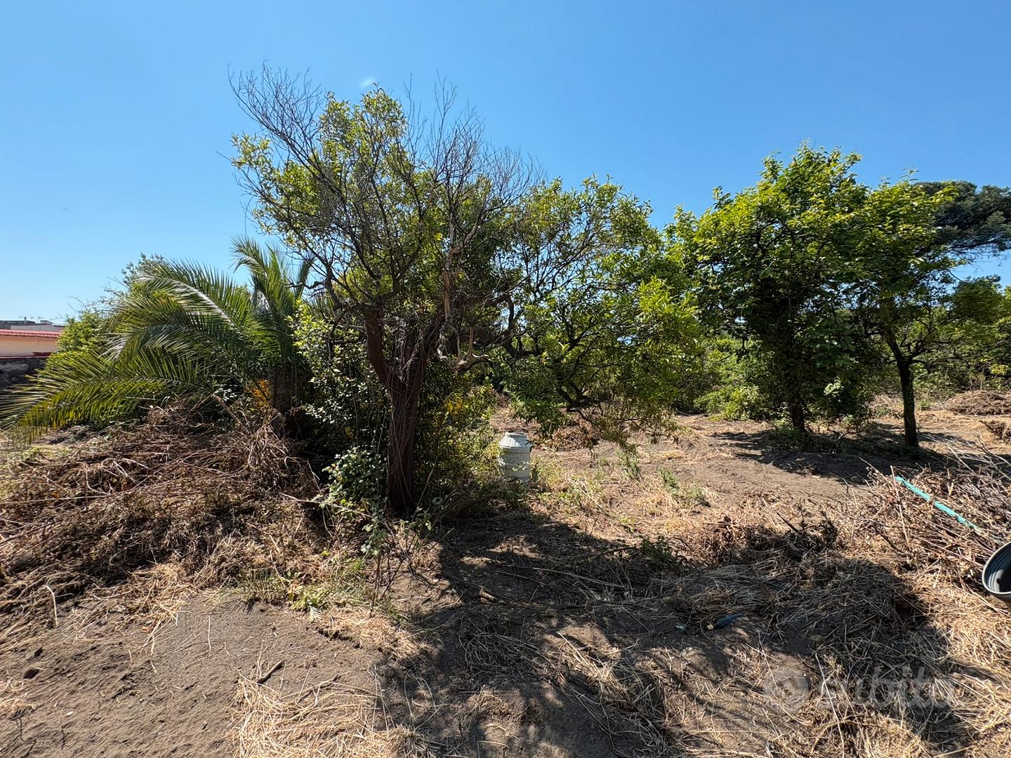 Terreno 4000 mq a Boscotrecase con rudere - Vista 6