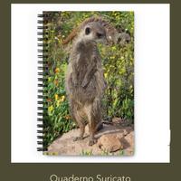 Quaderno suricato