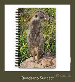 Quaderno suricato