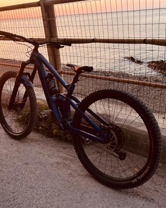 Trek slash 8 gen 5 2024