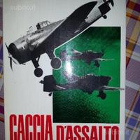 Caccia d'assalto