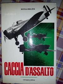 Caccia d'assalto