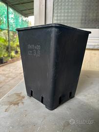 Vasi da vivaio in plastica rigido 15x15x20 cm