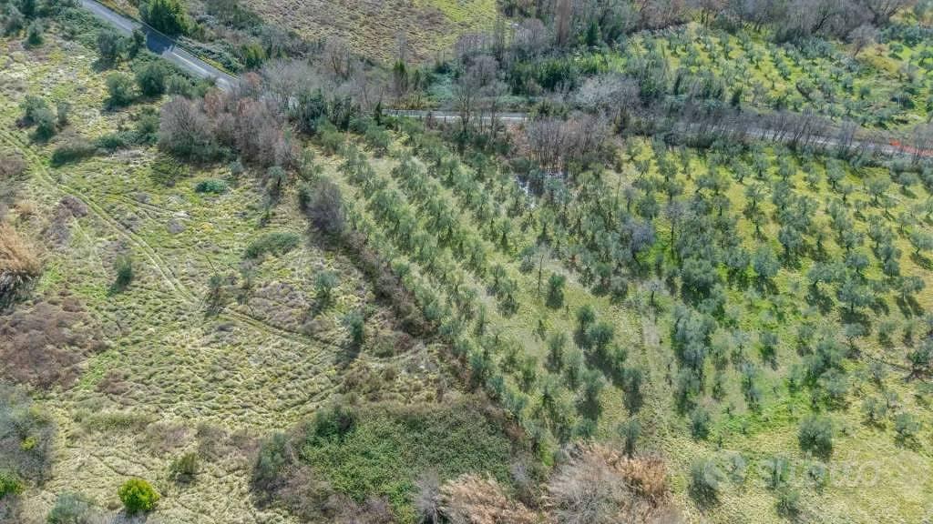 Terreno di 5630 m² a Montenero Sabino - Vista 2