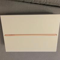 Ipad Apple