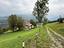 Immagine 23